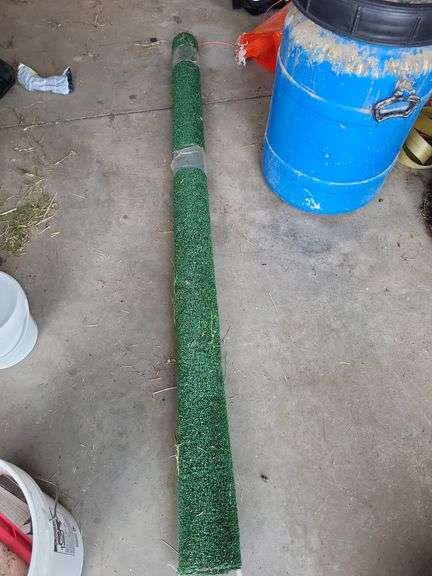 Outdoor rug 6'x? image