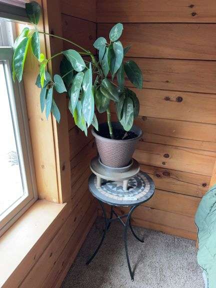 Live plant and Ceremic top stand image