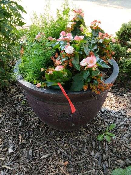 22 round 16 tall planter and plant image