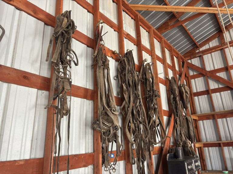 Assorted leather harness - quite old and has been hanging image