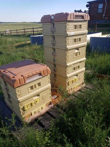 Beehives, beleived to be unoccupied image