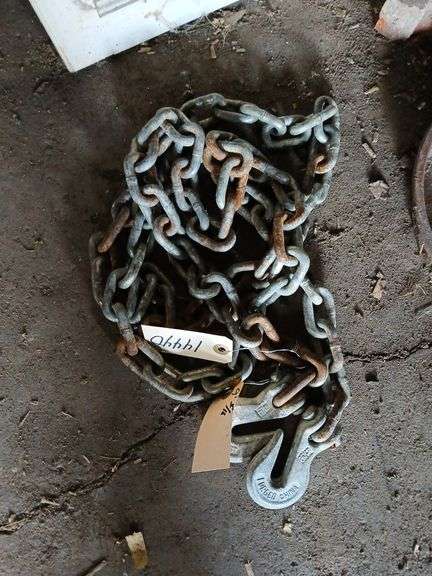 5/16 x 9’ log chain, double hook image