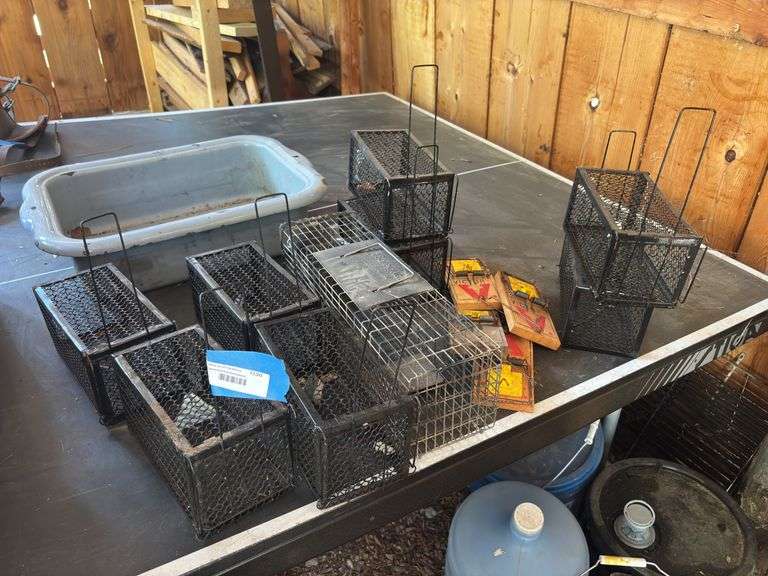 Live traps and no-so alive traps image