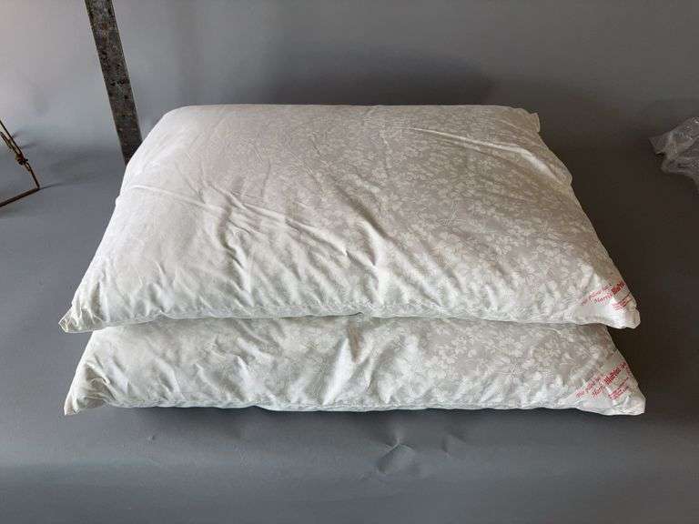 Two Harris Bluprint feather pillows image