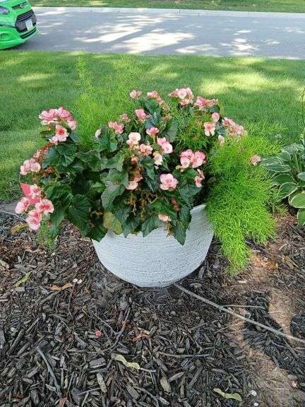 17" tall plastic planter and plants image