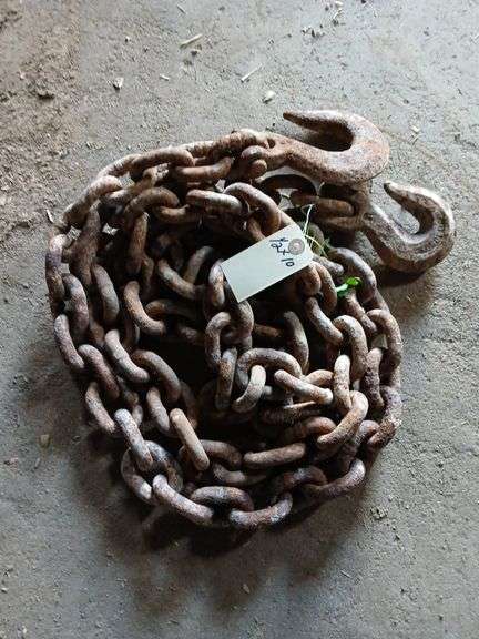 1/2 x 10 double hook log chain image