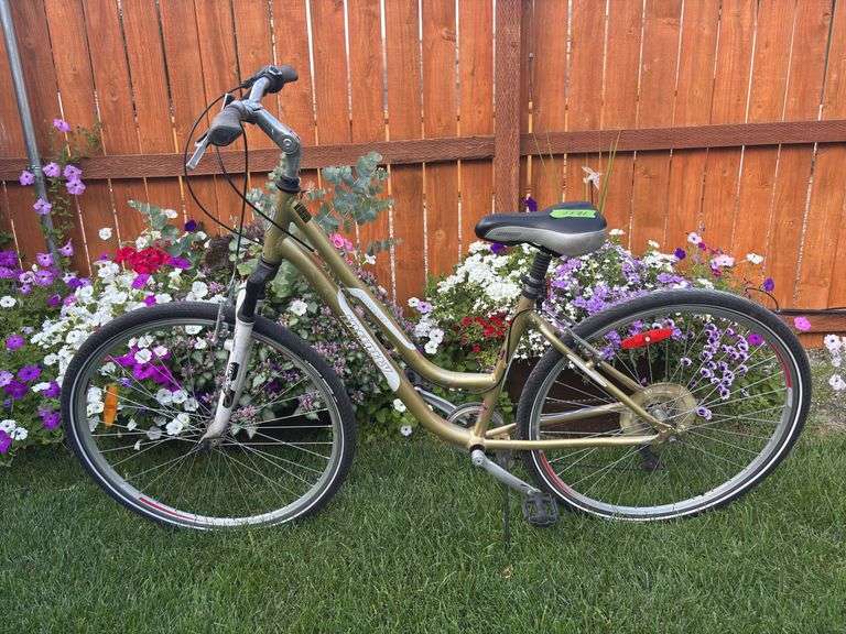 Infinity women’s bike 26” tires image