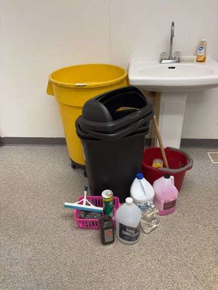 Trash cans, cleaning items image