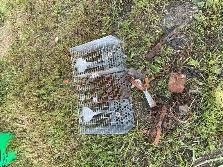 Various traps image