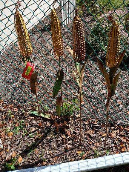 Four ears of corn, approx 42” tall image