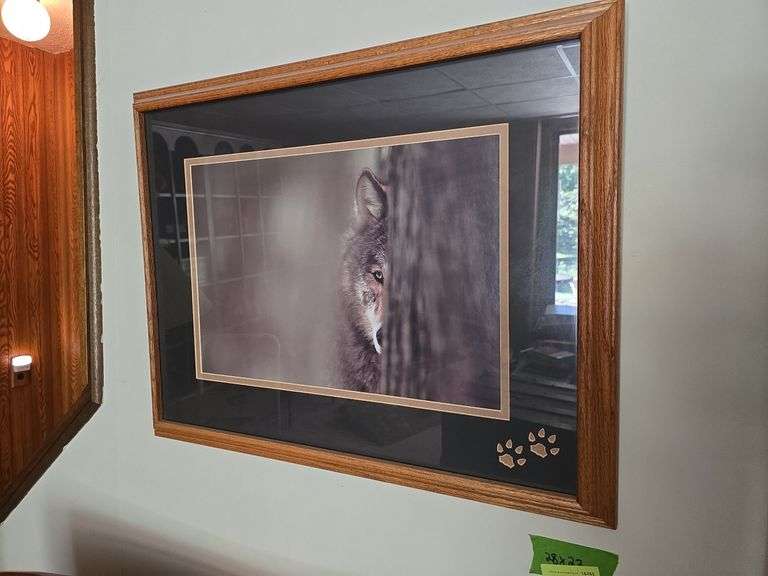 Wolf photo 28 x 23 image