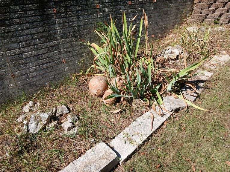 Choice of decorative rocks, etc image