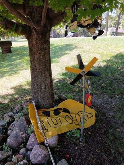 Iowa Hawkeye grouping image
