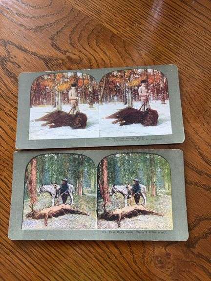 Stereoscope cards The Last Buffalo, First Days Luck image