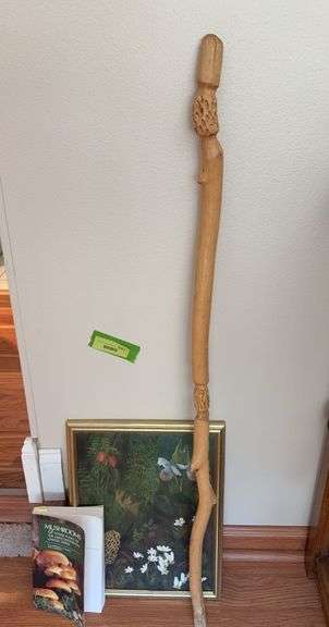 Mushroom walking stick, painting and book image