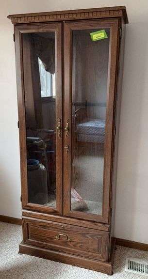 Modern glass door gun cabinet image