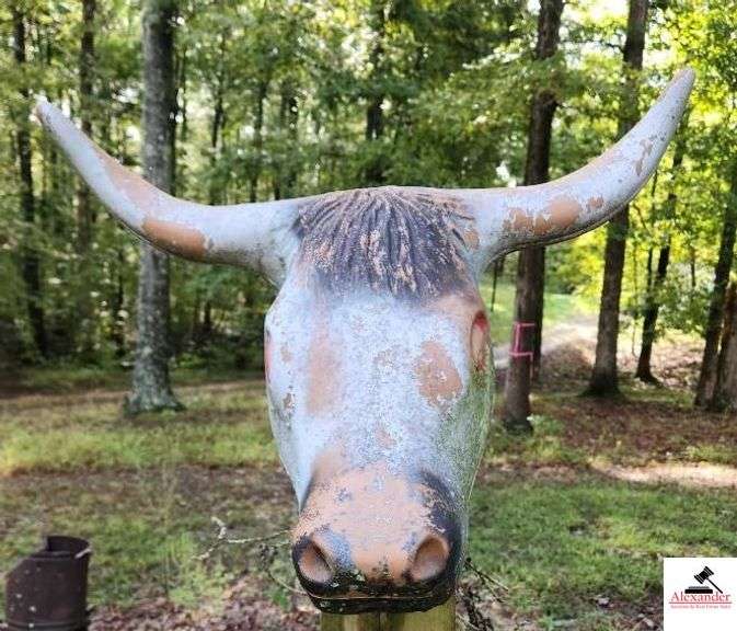 SKULL - BULL WITH HORNS ON FENCE POST image