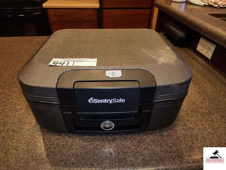 SENTRY HOME SAFE- NO KEY- APARTMENT image