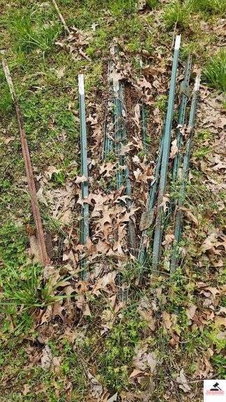 (31) GREEN T-POST - (WILL HAVE TO BE REMOVED FROM GROUND)
