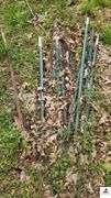 (31) GREEN T-POST - (WILL HAVE TO BE REMOVED FROM GROUND)