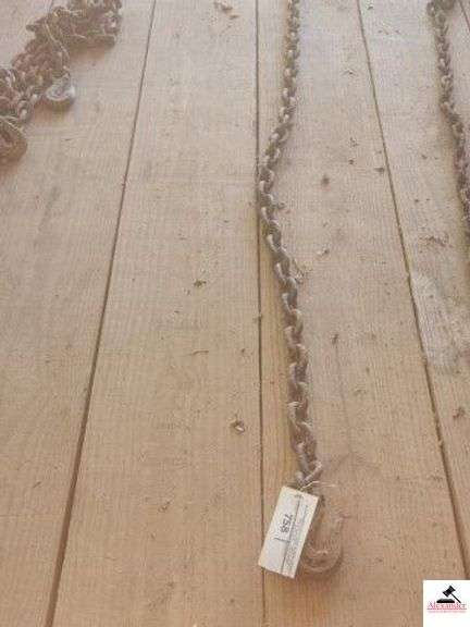 11FT LOG CHAIN HEAVY DUTY - WITH HOOKS (IMP SHED) image