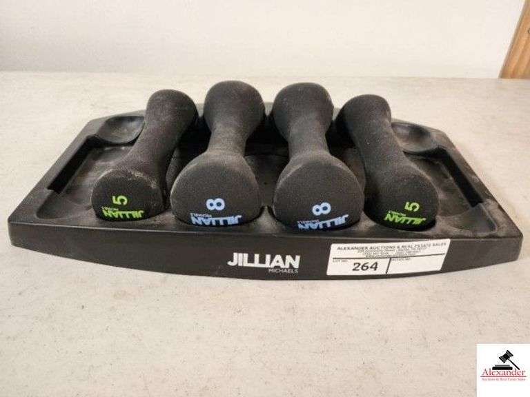 SET OF JULLIAN MICHAELS  DUMB BELLS- (2) 8 LBS. (2) 5 LBS. (UTILITY) image