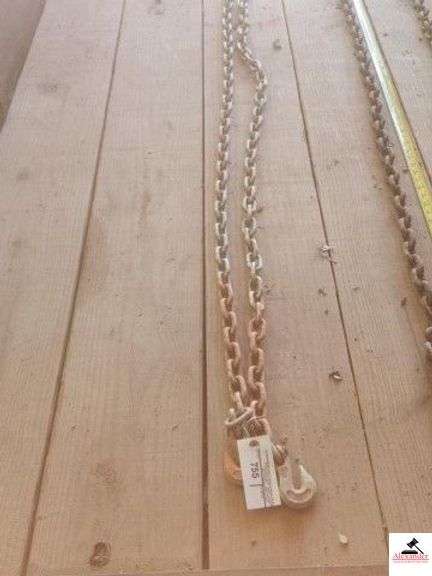 LOG CHAIN 19+FT - WITH HOOKS - (IMP SHED) image