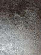 Cast iron griddle #8