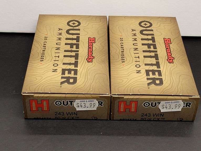 Two 20 Cartridge Boxes Hornady Outfitter 243 WIN 80 Grain CX image