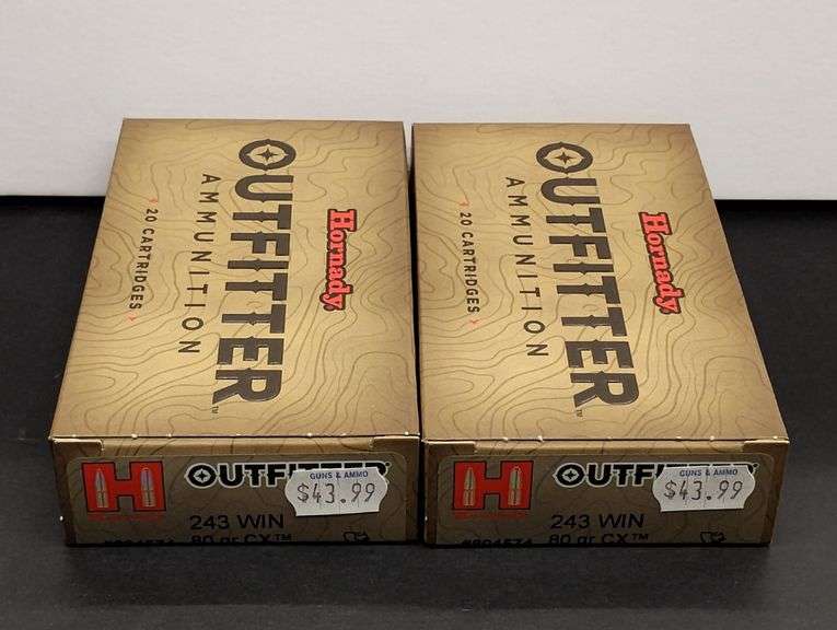 Two 20 Cartridge Boxes Hornady Outfitter 243 WIN 80 Grain CX image
