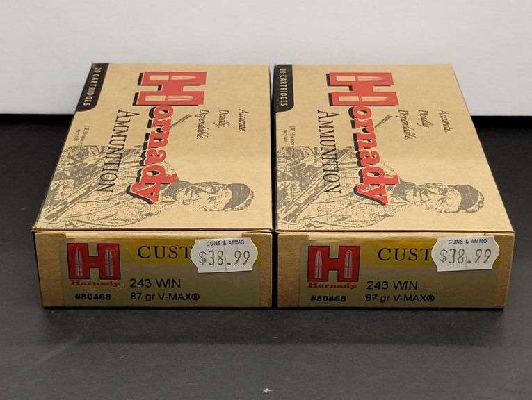Two 20 Cartridge Boxes Hornady 243 WIN 87 Grain V-MAX image