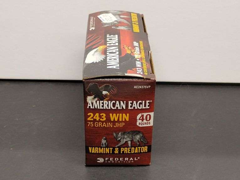 One 40 Cartridge Box Federal American Eagle 243 WIN 75 Grain JHP image