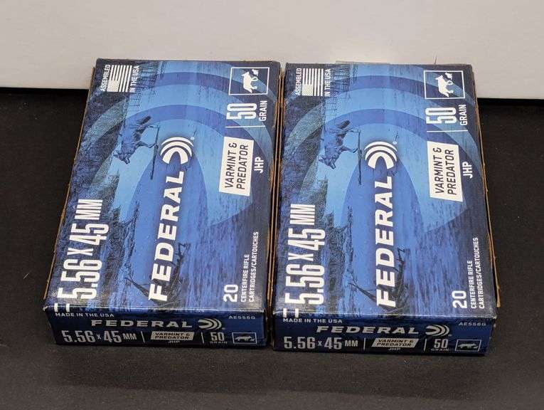 Two 20 Cartridge Boxes Federal 5.56 x 45 MM 50 Grain image