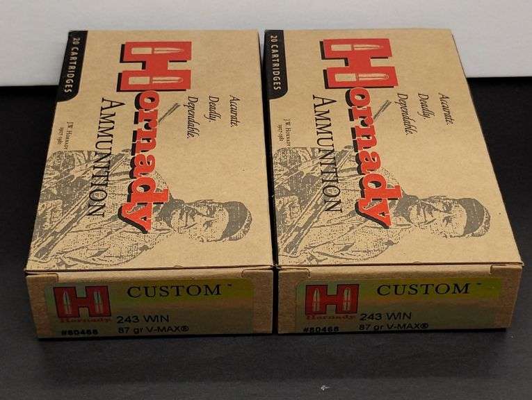 Two 20 Cartridge Boxes Hornady 243 WIN 87 Grain V-MAX image