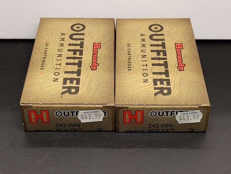 Two 20 Cartridge Boxes Hornady Outfitter 243 WIN 80 Grain CX image