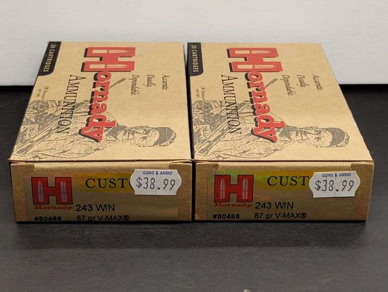 Two 20 Cartridge Boxes Hornady 243 WIN 87 Grain V-MAX image