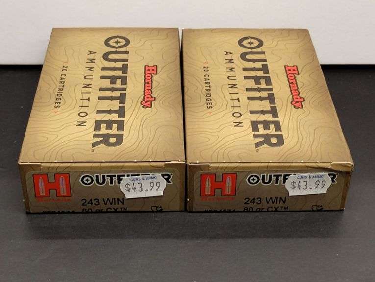 Two 20 Cartridge Boxes Hornady Outfitter 243 WIN 80 Grain CX image