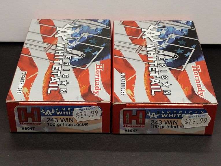 Two 20 Cartridge Boxes Hornady American Whitetail 243 WIN 100 Grain InterLock image