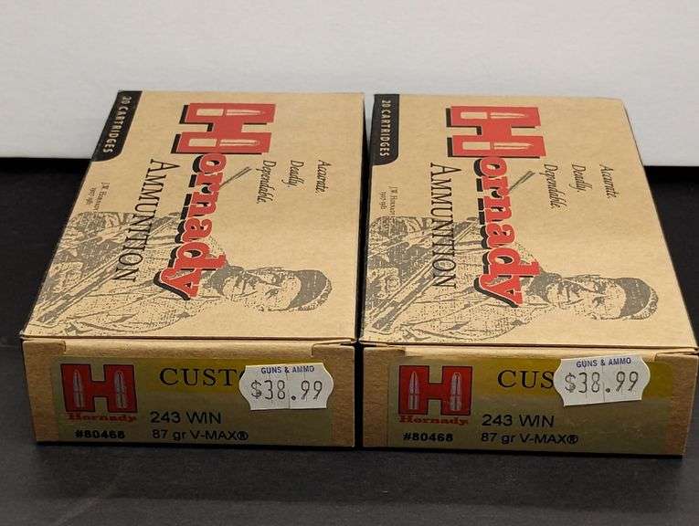 Two 20 Cartridge Boxes Hornady 243 WIN 87 Grain V-MAX image