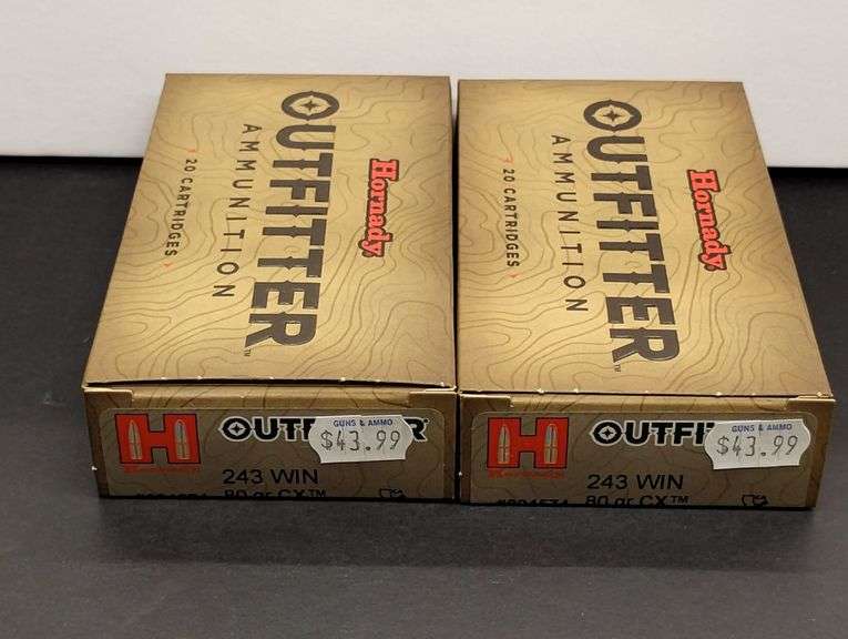 Two 20 Cartridge Boxes Hornady Outfitter 243 WIN 80 Grain CX image