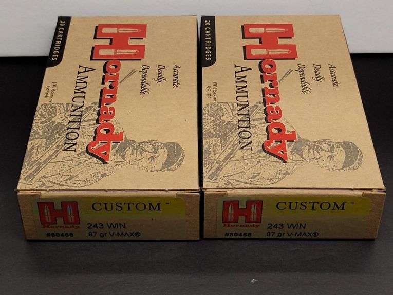 Two 20 Cartridge Boxes Hornady 243 WIN 87 Grain V-MAX image