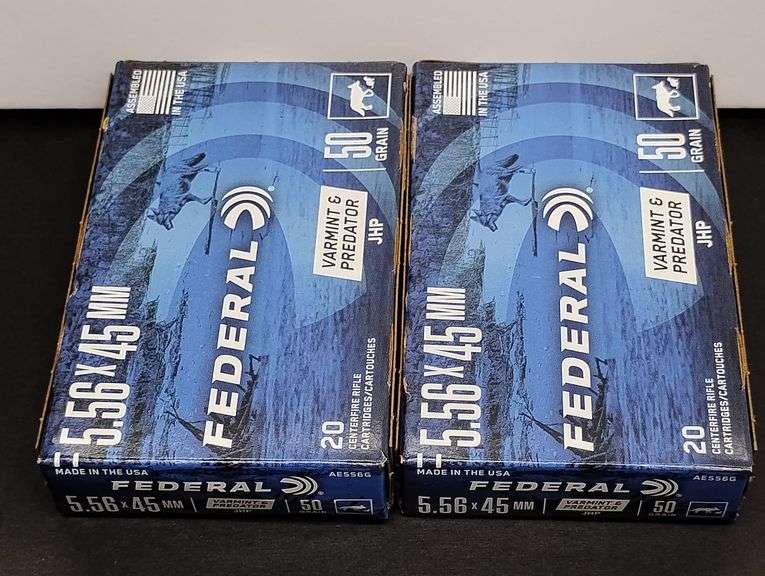 Two 20 Cartridge Boxes Federal 5.56 x 45 MM 50 Grain image