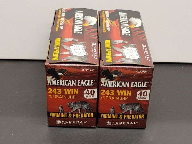 Two 40 Cartridge Boxes Federal American Eagle 243 WIN 75 Grain JHP image