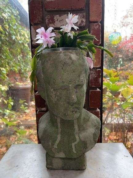Weathered gatden male bust planter with live/blooming Christmas cactus image