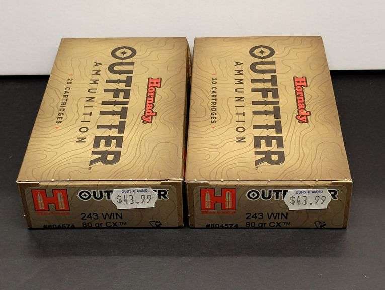 Two 20 Cartridge Boxes Hornady Outfitter 243 WIN 80 Grain CX image