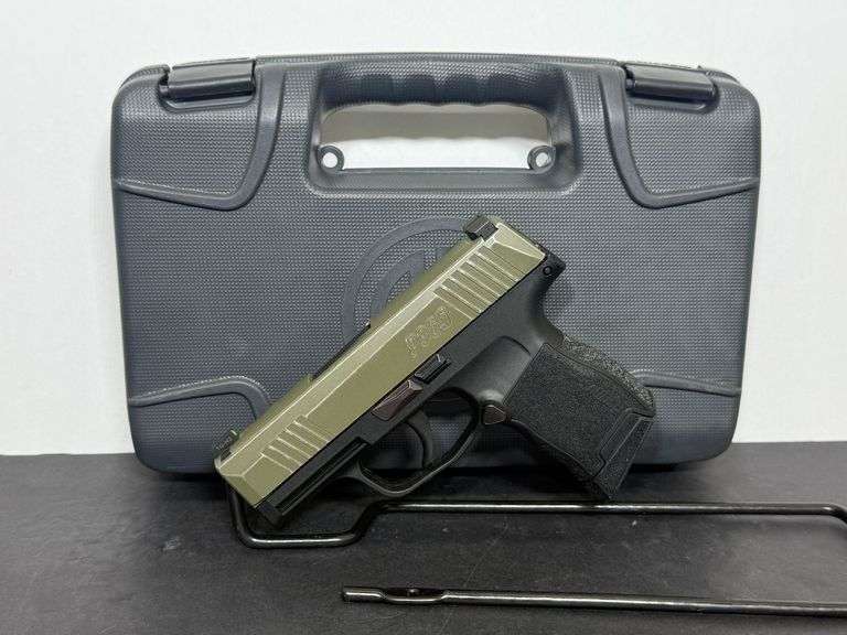 SIG Sauer  9mm  P365 9 BXR3 DC  SN:66F308280 image