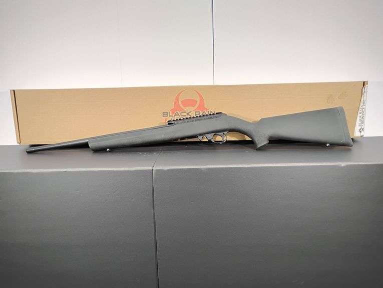 Black Rain  22LR  BRO 22  SN: XM007738 image