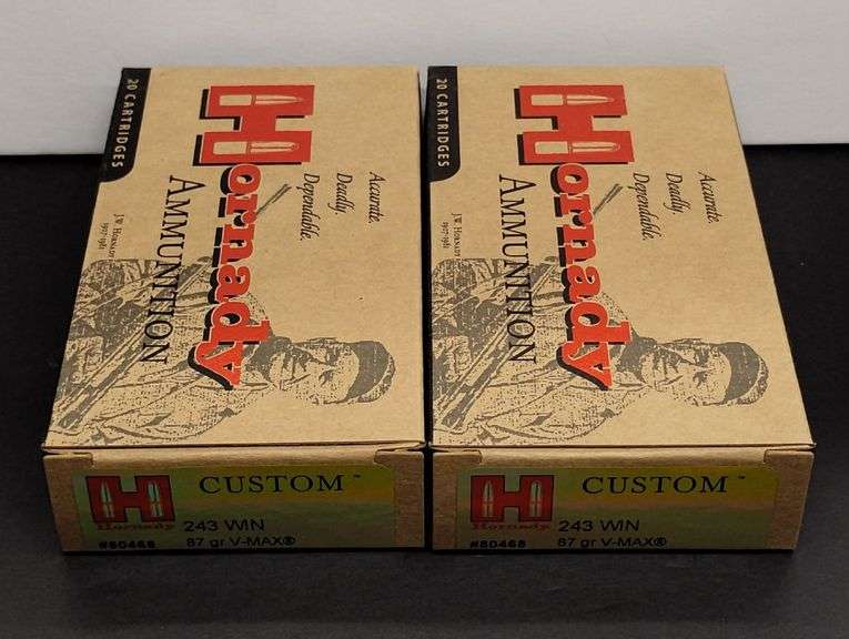 Two 20 Cartridge Boxes Hornady 243 WIN 87 Grain V-MAX image