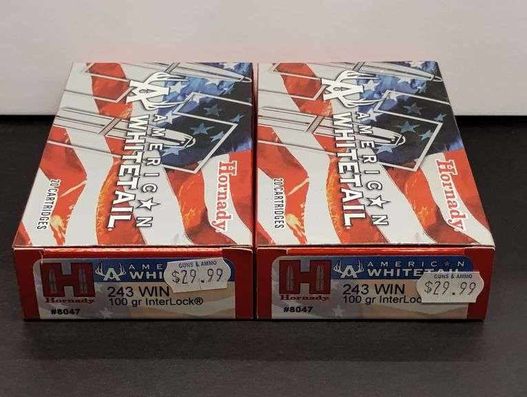 Two 20 Cartridge Boxes Hornady American Whitetail 243 WIN 100 Grain InterLock image