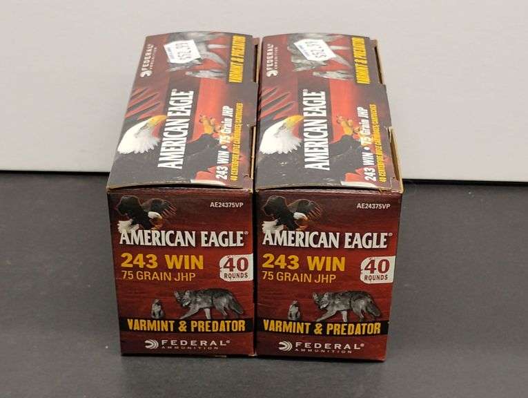 Two 40 Cartridge Boxes Federal American Eagle 243 WIN 75 Grain JHP image